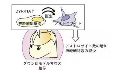 <a href='/'>出國看病</a>