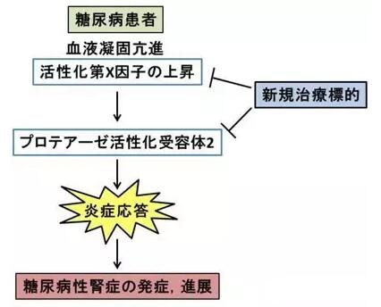 赴日就醫(yī)，厚樸方舟