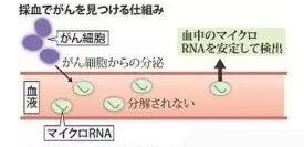 日本癌癥治療，厚樸方舟