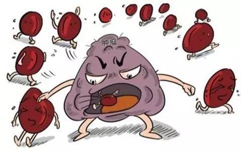 <a href='/'>出國看病</a>，厚樸方舟