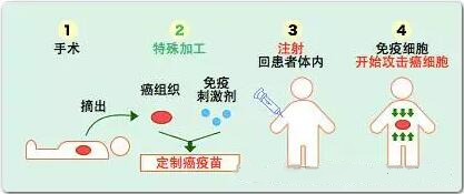 <a href='/'>出國看病</a>，<a href='/japan/'>日本就醫(yī)</a>，厚樸方舟
