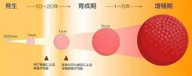 <a  data-cke-saved-href='/' href='/'>海外醫(yī)療</a>