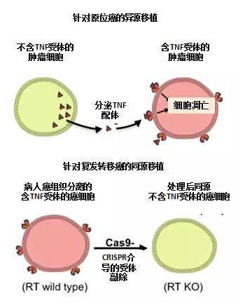 美國治療癌癥