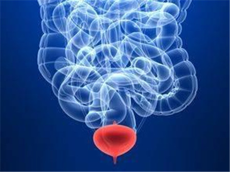 日本治療膀胱癌