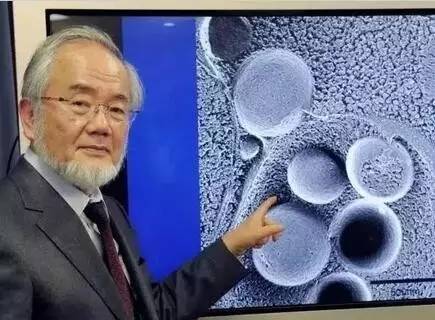 日本的治療技能