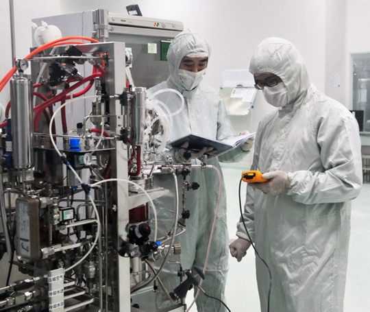 日本治療白血病