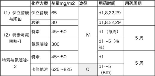 日本胃癌化療