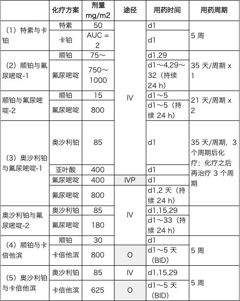 日本胃癌化療