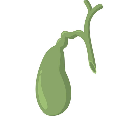 日本治療膽囊癌