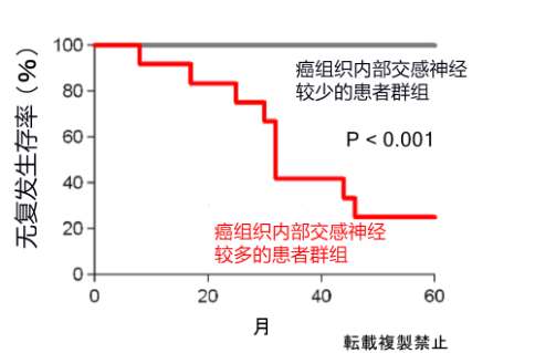 味覺(jué)、聽(tīng)覺(jué)與寫(xiě)作，AI不動(dòng)聲色地步入我們的生活