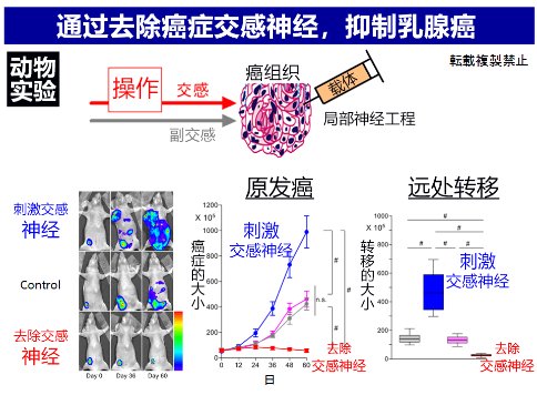 味覺(jué)、聽(tīng)覺(jué)與寫(xiě)作，AI不動(dòng)聲色地步入我們的生活