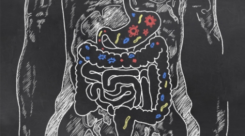 出國(guó)看?。嚎肆_恩病藥物耐受圖譜特征已被繪制，治療方法指日可待！