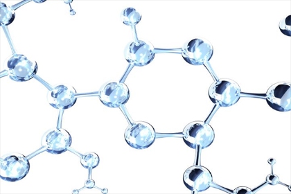 RPSAP52 RNA分子觸發(fā)細(xì)胞增殖并消除其分化