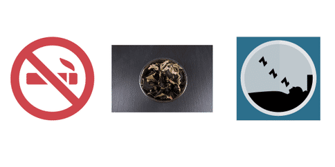 出國看?。簷C(jī)械力對肺部免疫反應(yīng)具有一定影響，或?yàn)榉卫w維化治療提供方向！