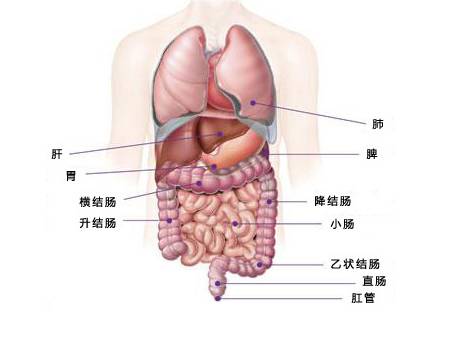 結腸癌治療