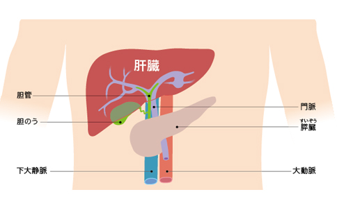 日本肝癌治療水平