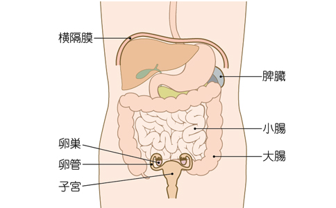 日本治療卵巢癌醫(yī)院