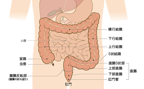 搜狗截圖21年02月25日1635_1.png