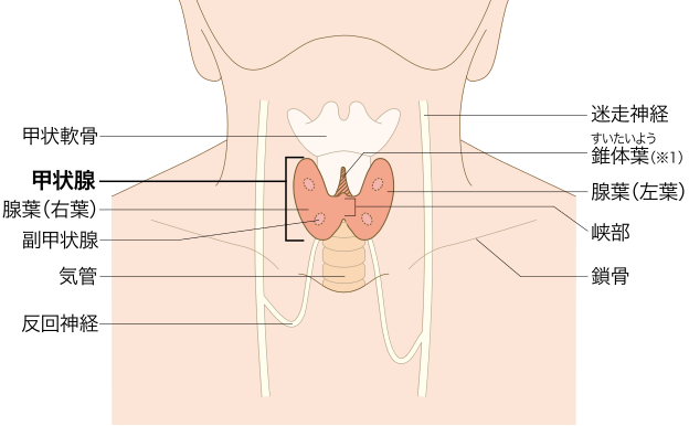 日本治療甲狀腺癌