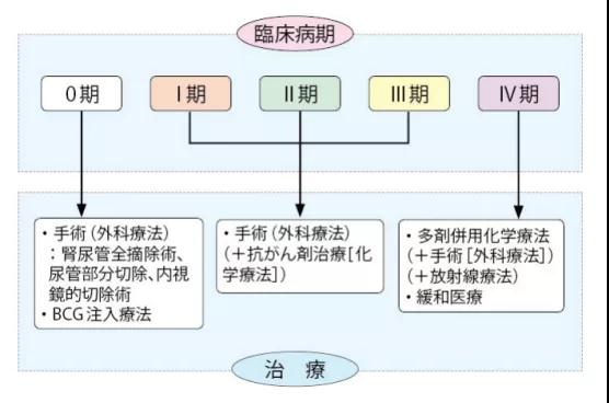 輸尿管癌治療手段