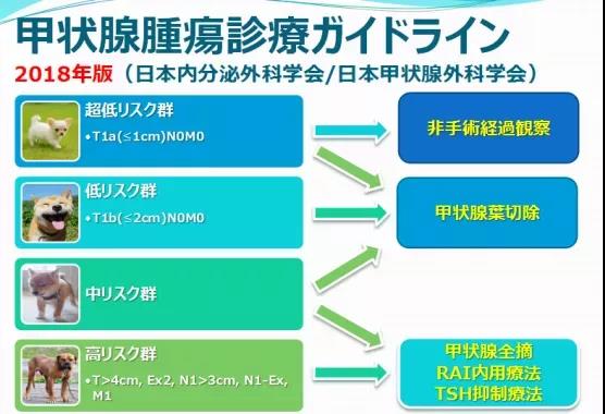 甲狀腺癌復(fù)發(fā)治療