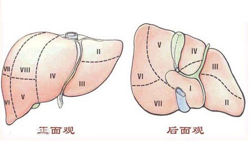 中晚期肝癌手術(shù)新輔助治療