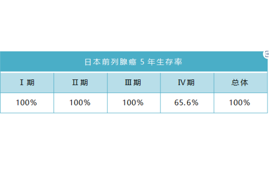 日本前列腺癌根治術(shù)
