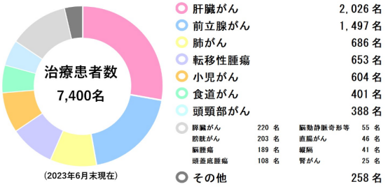 日本質(zhì)子重離子醫(yī)院治療費用